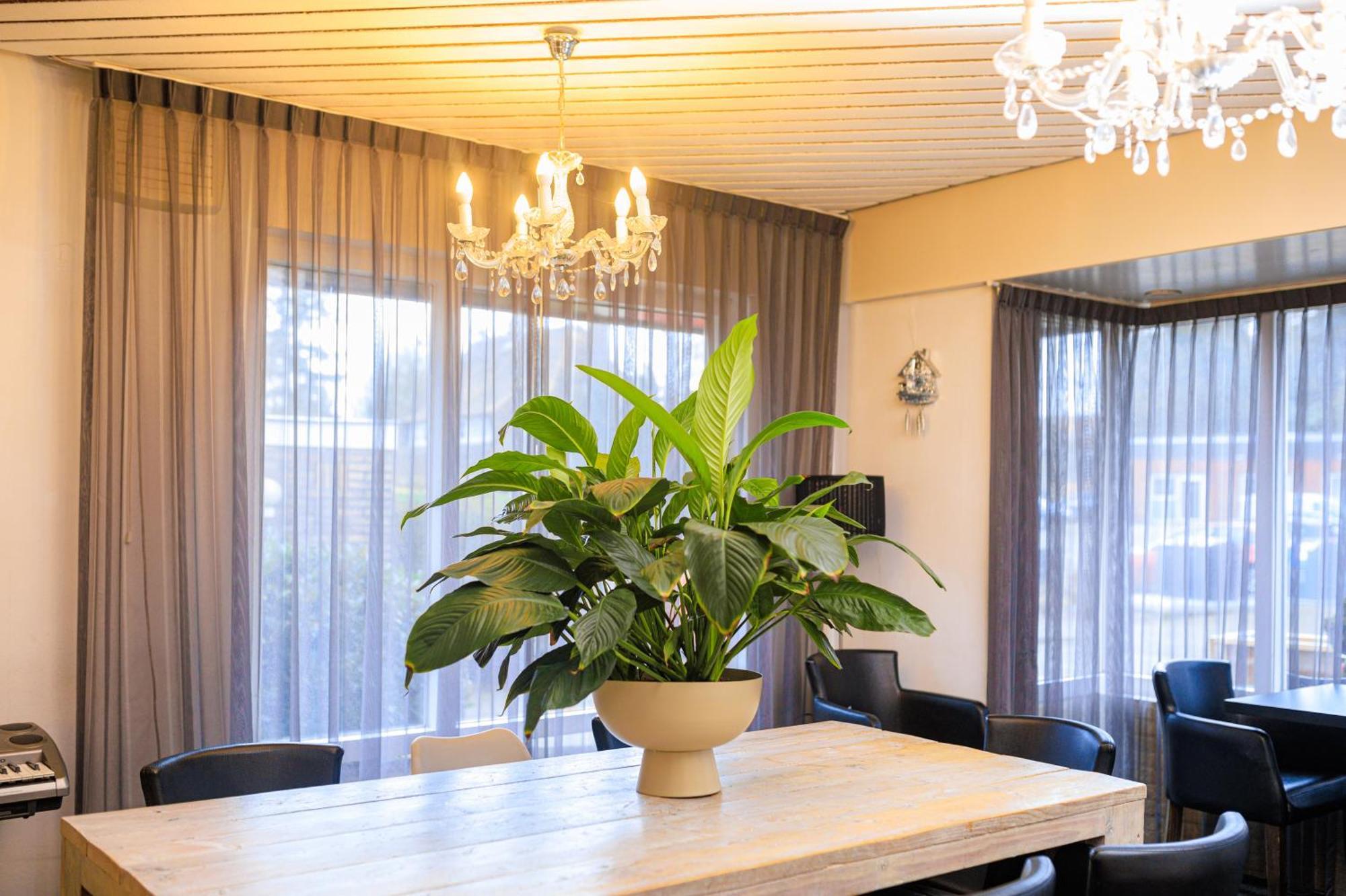 Berg En Bos 3* Apeldoorn